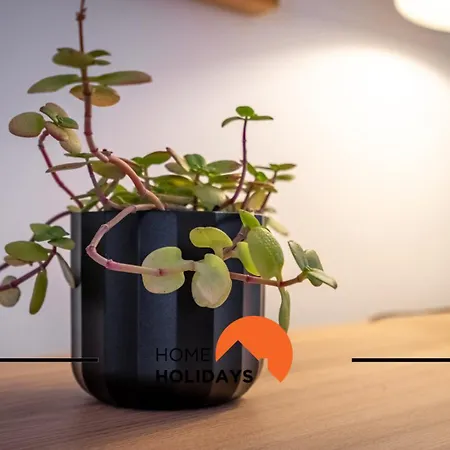 Apartment #294 T2 Com Amplo Terraco By Holidays Albufeira